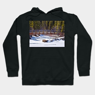 The Bridge Hoodie